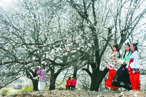 太阳成集团tyc7111 品牌主视觉